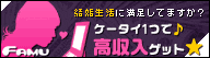 FAMU `bgfBW