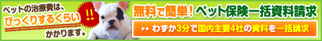 ペット保険一括見積り 申込