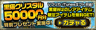 【全承認】マネキン 会員登録(魔法使いと黒猫のウィズLPA)